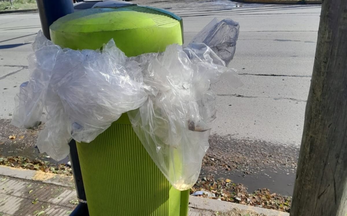 Cestos saturados y acumulación: el hartazgo de vecinos de una esquina de Tolosa