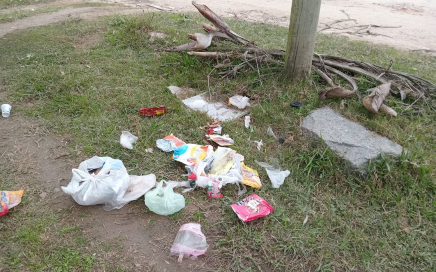 Quejas por falta de recolección de residuos en Berisso