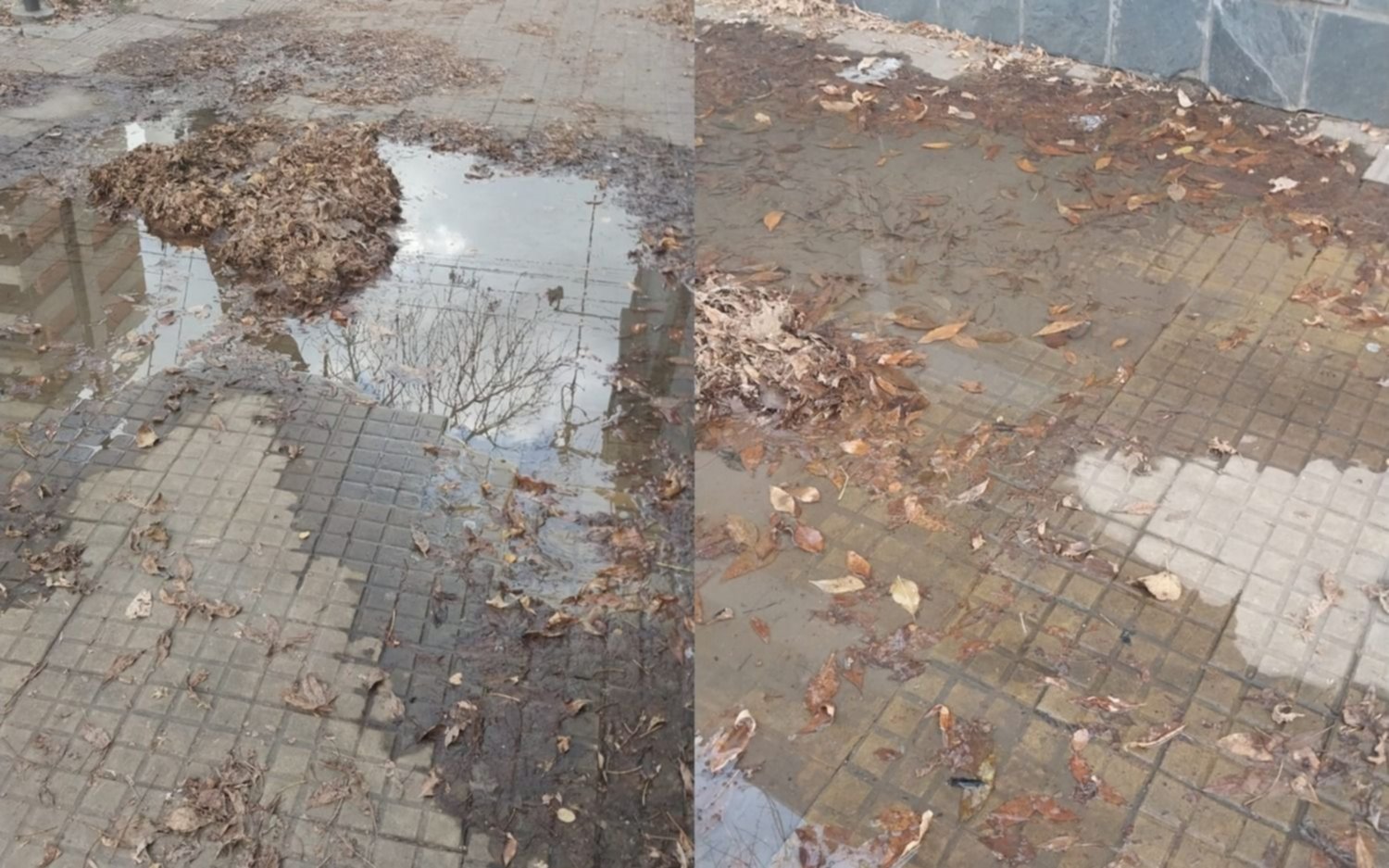 Pérdida de agua en pleno centro de La Plata