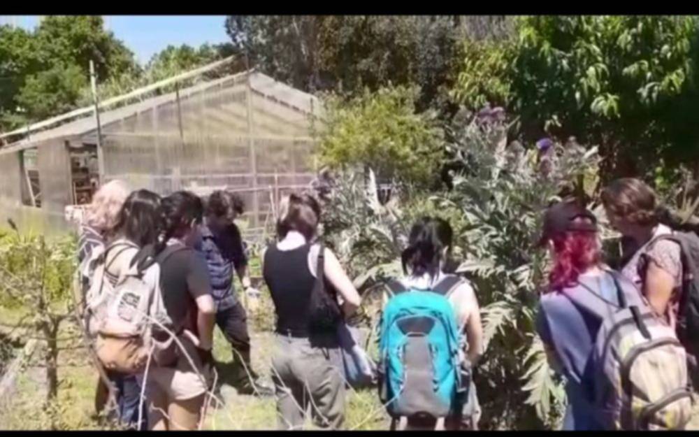 La Plata: al rescate de plantas “olvidadas” que podrían contribuir en alimentos