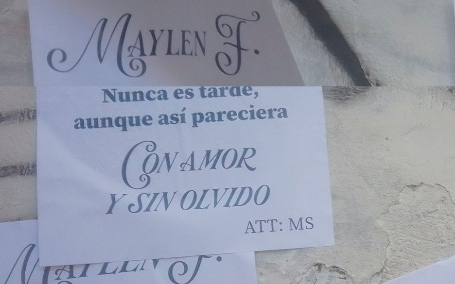 Viral.- El suplicio de un hombre enamorado en La Plata: “Bombardearé la ciudad si hace falta”