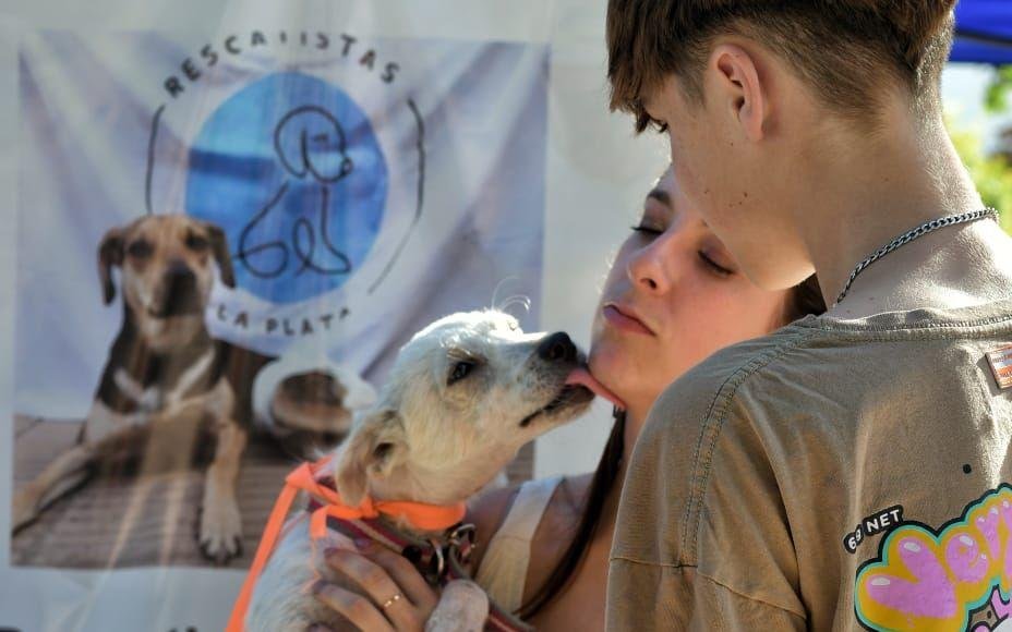 Rescatistas platenses dan charlas en escuelas sobre respeto animal