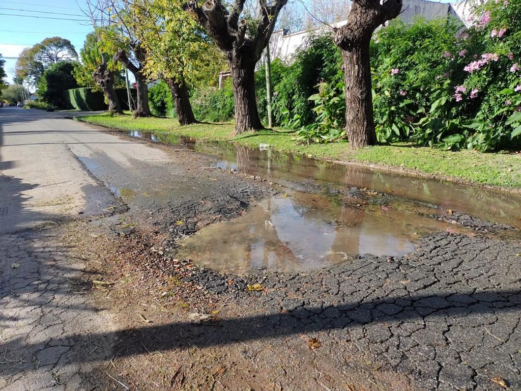 Quejas en Villa Elisa por una “laguna” que se formó en plena calle
