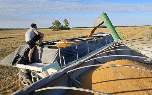 El agro ya liquidó casi U$S 9 mil millones en 2025
