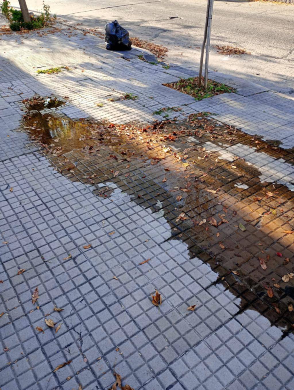 Queja por una “fuente de agua” en la zona de 21 y 43