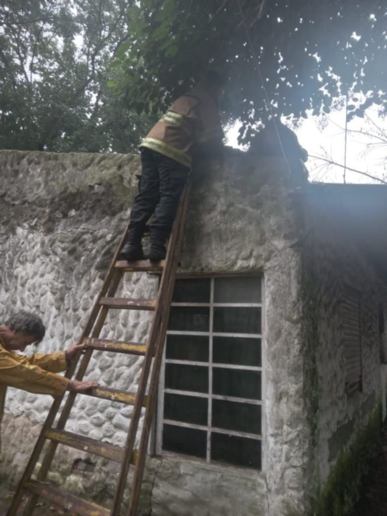 Rescate en Arturo Seguí: un adulto mayor se subió al techo y los bomberos tuvieron que bajarlo