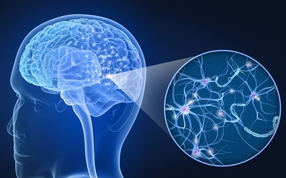 Esclerosis múltiple: las nuevas terapias transformaron el pronóstico de esta enfermedad que suele afectar a personas jóvenes