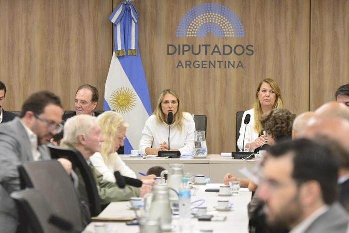 Debaten la moratoria y el bono a jubilados