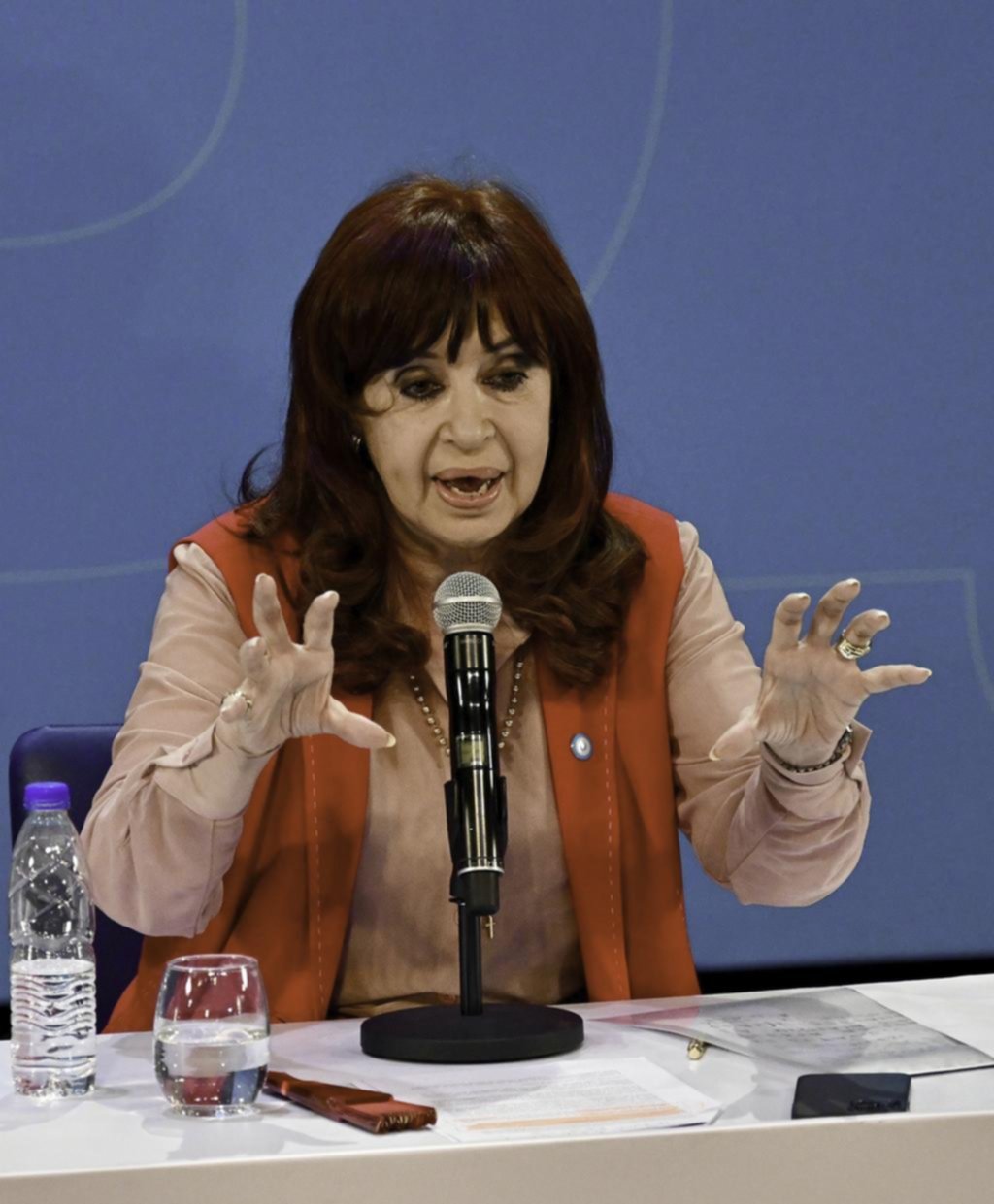 Ficha Limpia en el Senado: las miradas son hacia el oficialismo