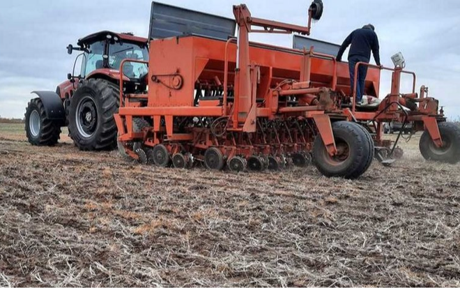 La UNC asegura que la siembra temprana de trigo  mejora la producción 