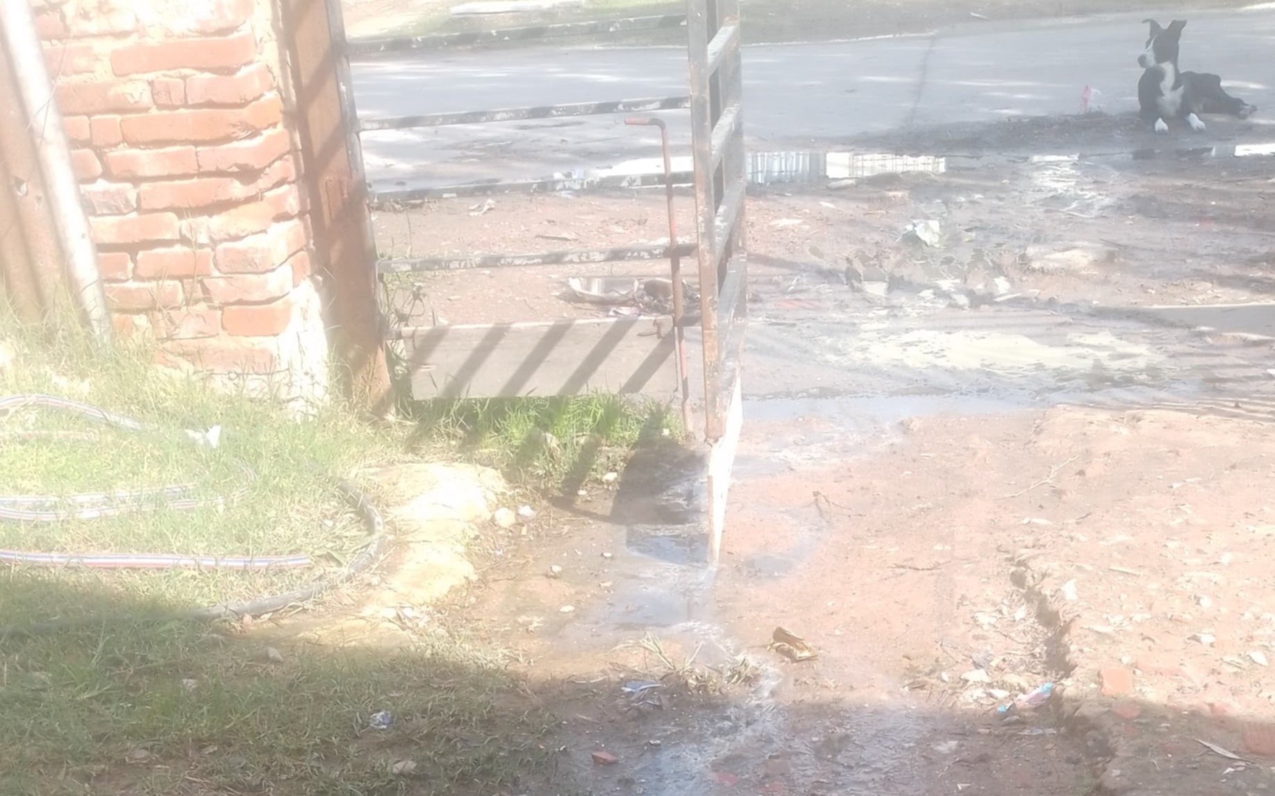 Calle intransitable en Berisso por cloacas: una persona con movilidad reducida no puede salir de su casa
