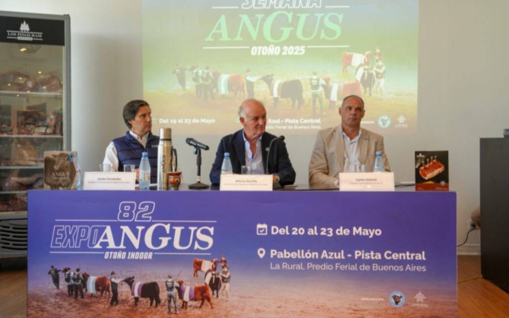 Expo Angus: genética, remates y capacitación en Palermo
