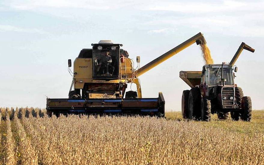 La soja de segunda supera expectativas de rinde en la Zona Núcleo