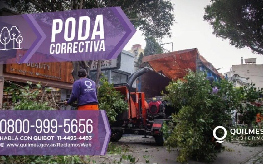 Guía para vecinos de Quilmes: cómo solicitar una poda correctiva