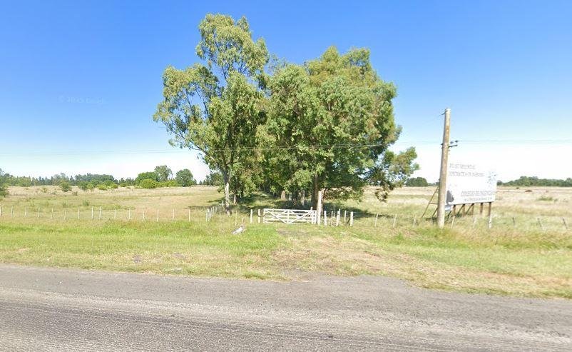 Millonaria cosecha delictiva: trabajaba en el campo y vaciaron su casa