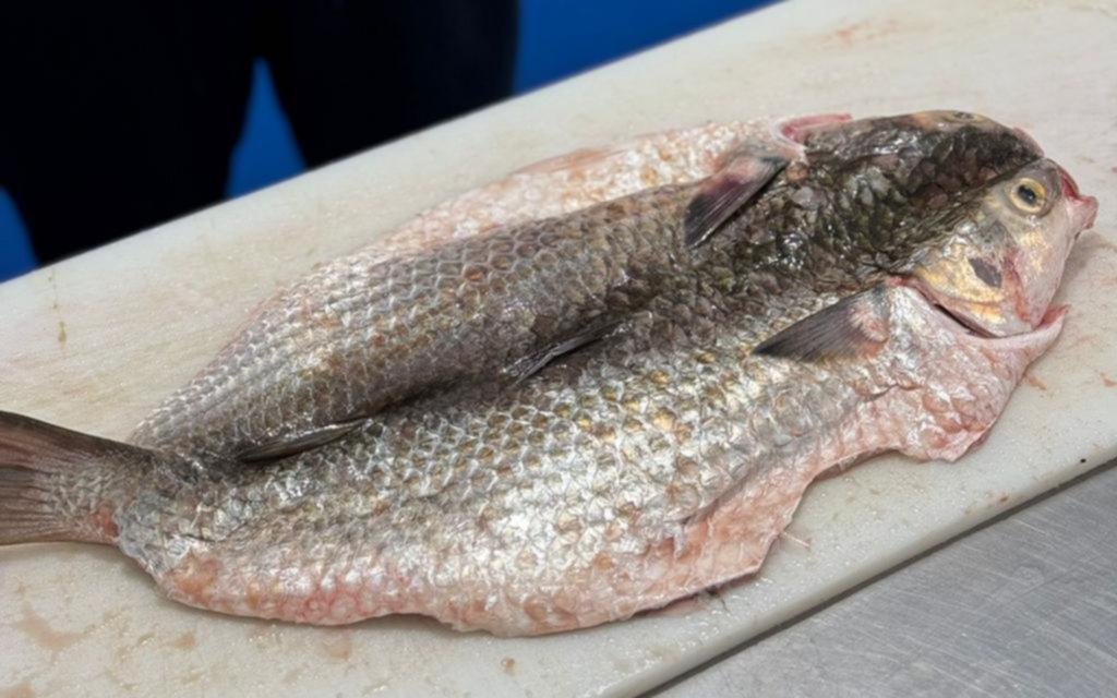 En AltaMarket, estalló la temporada de lisa fresca: un sabroso clásico