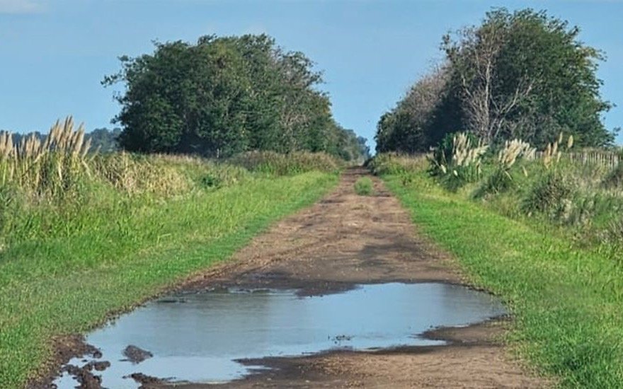 Santa Fe: un fallo judicial pone en debate el uso de la tasa vial y la transparencia en los caminos rurales