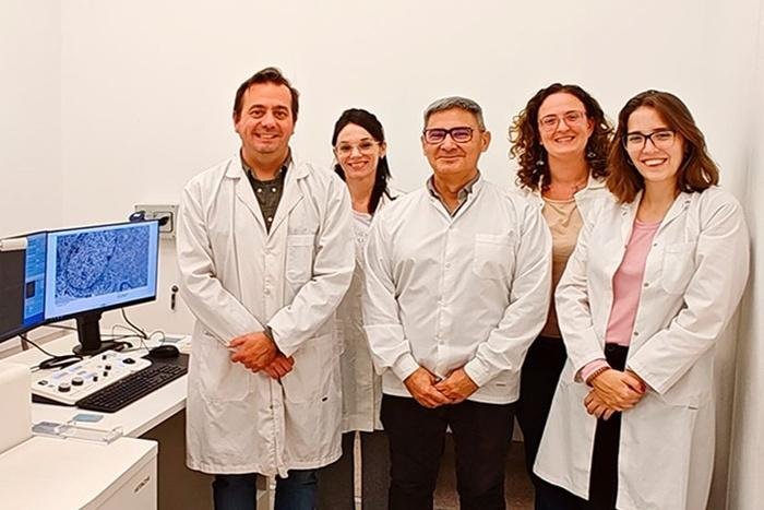 Logro argentino: hallan clave para frenar tumores