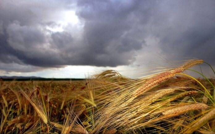 Prevén un invierno más cálido de lo habitual en territorio bonaerense
