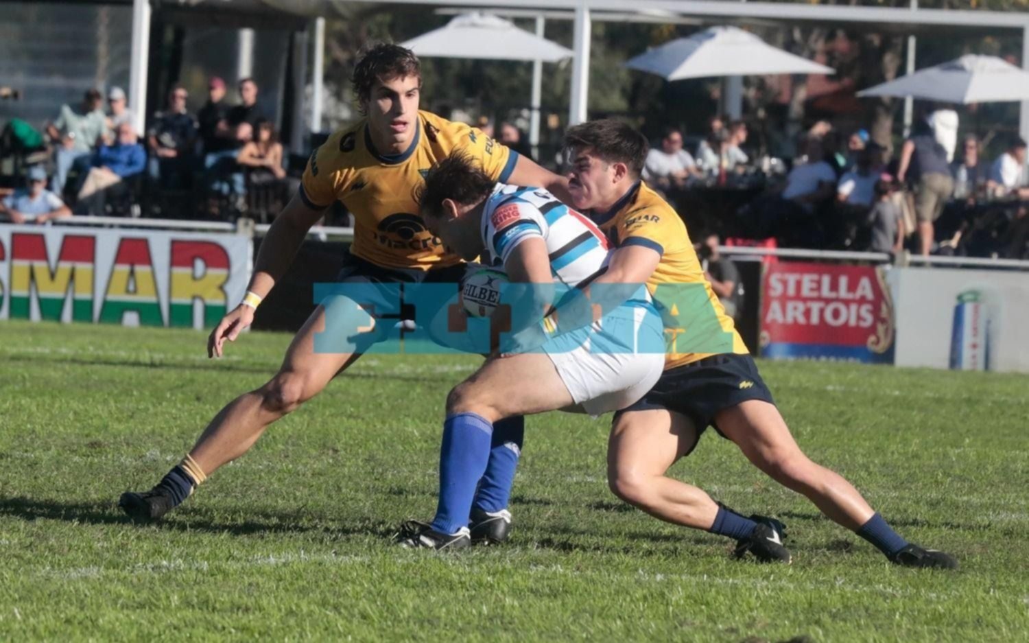 Rugby: buenos triunfos de La Plata RC y Los Tilos en Top 12 de la URBA