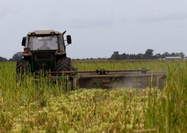 ¿Adónde va el crédito en la Provincia?