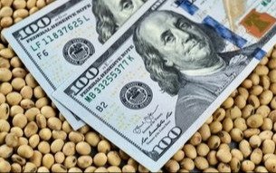 El agro generó 92% de las divisas netas del país desde 2020