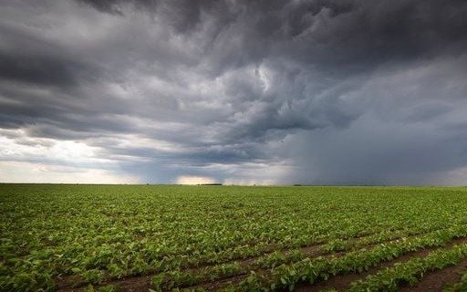 Abundantes lluvias y temperaturas elevadas para la época, marcan el clima inusual en el norte bonaerense y el Litoral