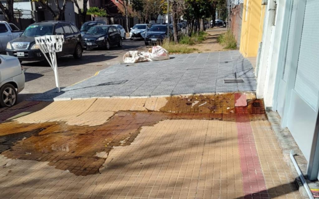Derroche de agua por una cañería rota en la calle 30 entre 44 y 45