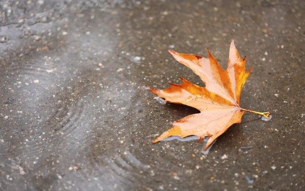 Anuncios de lluvias en Quilmes