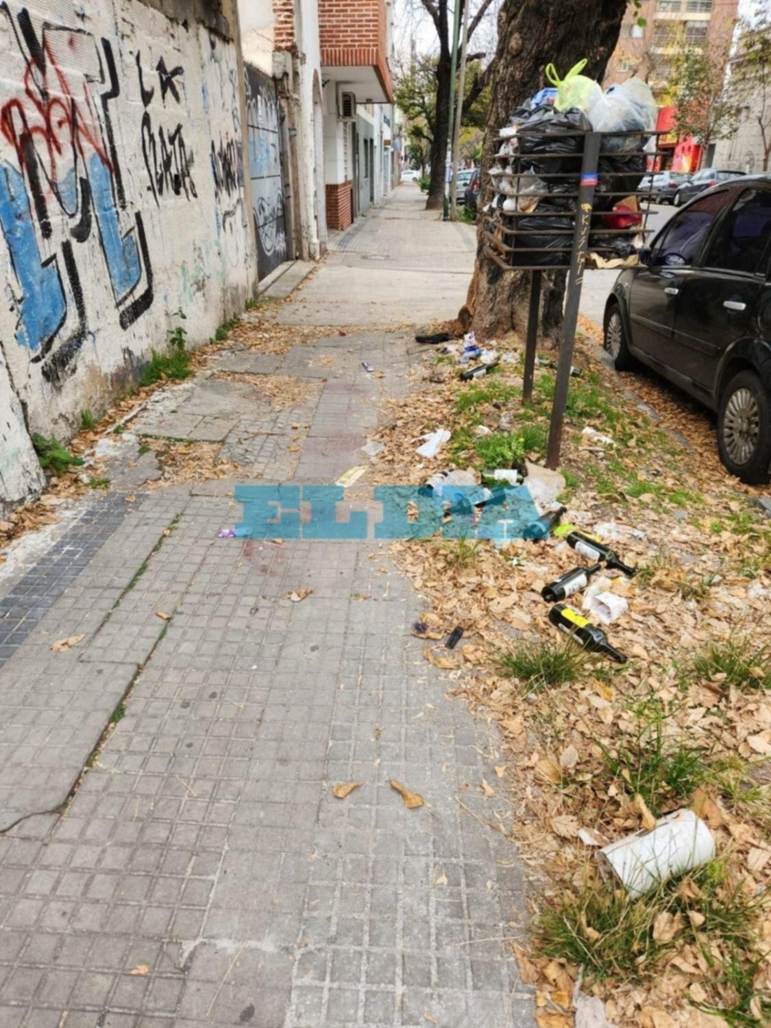  Un "cementerio" de botellas de vino y otros desechos en 43 entre 4 y 5