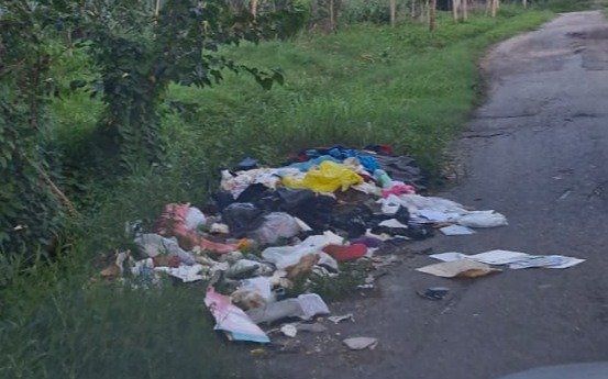 Vecinos de Hernández reclaman limpieza en el barrio
