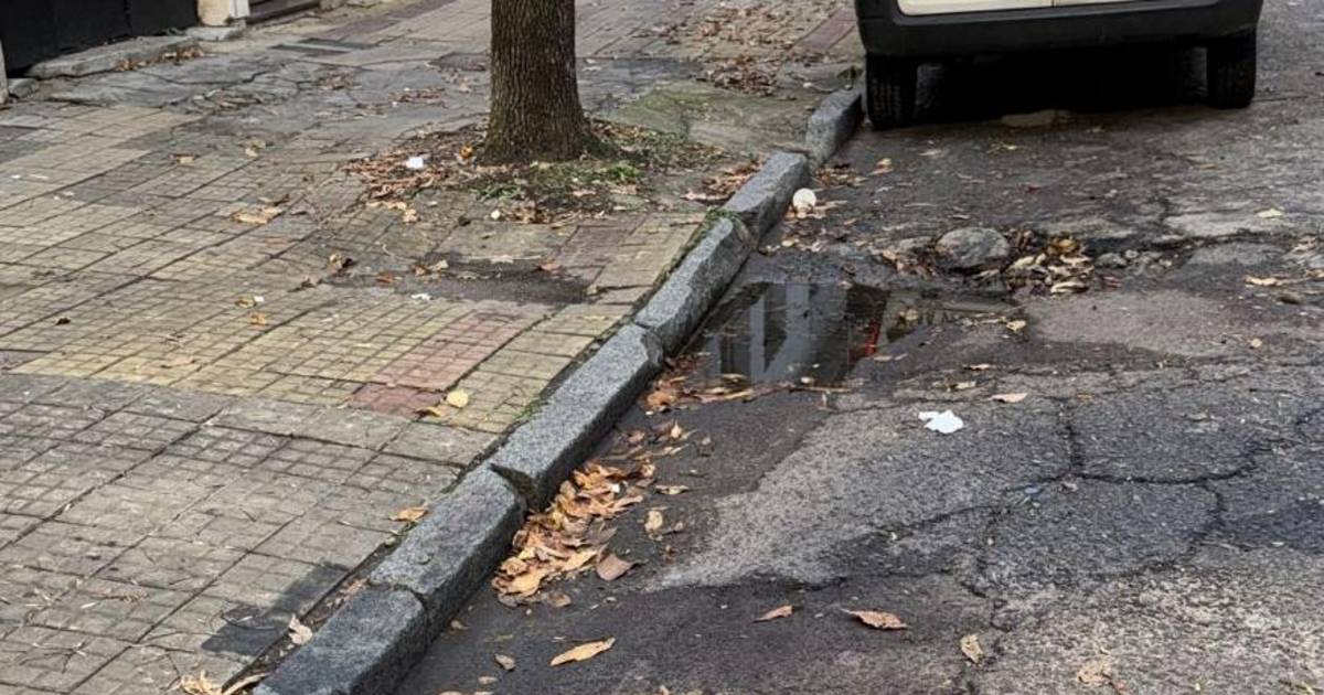 Crecen los reclamos por el estado de la calle 55 | El Dia
