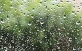 Lluvias durante toda la jornada