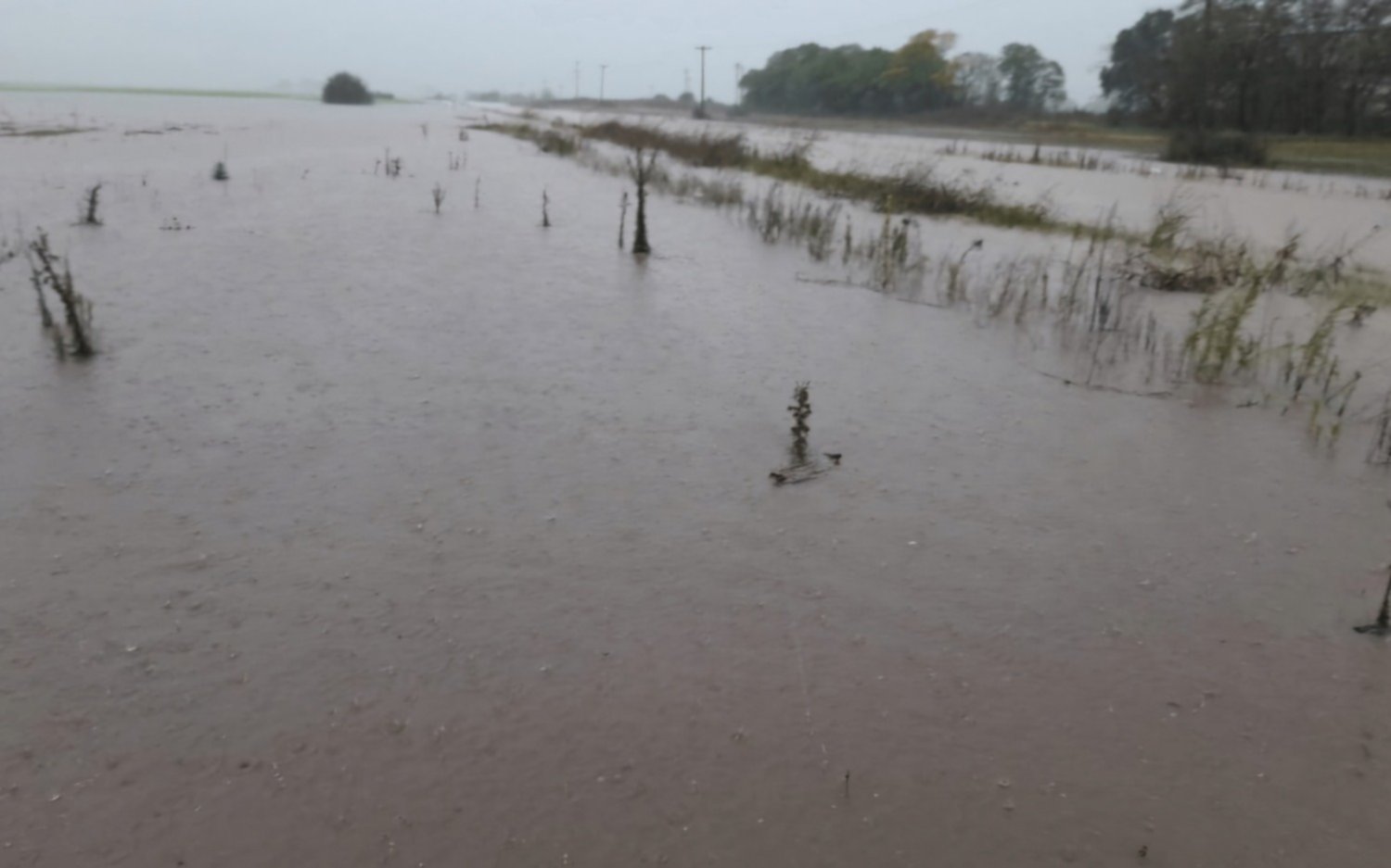 Temporal e inundaciones en la Provincia: un muerto, 2.900 evacuados y tres desaparecidos