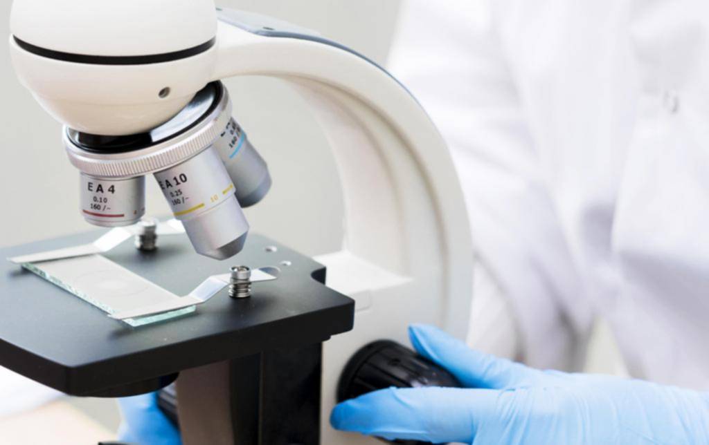 El envejecimiento según la ciencia: cómo nos hacemos viejos por dentro