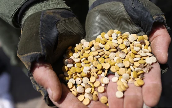 Captagón, la nueva droga que usan los ladrones "para no sentir miedo ni dolor"