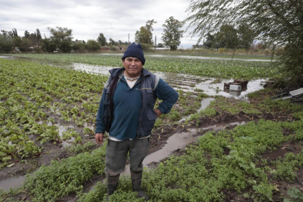 El agua arrasó la producción y se esperan aumentos en las verdulerías de La Plata