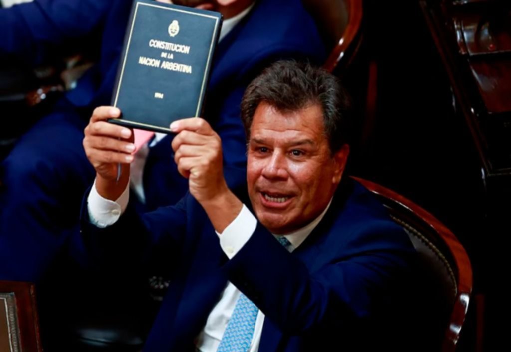 Facundo Manes se aparta de la UCR y arma su propio espacio