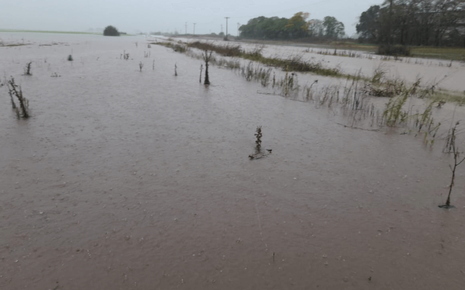Las lluvias complican la cosecha de soja y maíz en el norte bonaerense