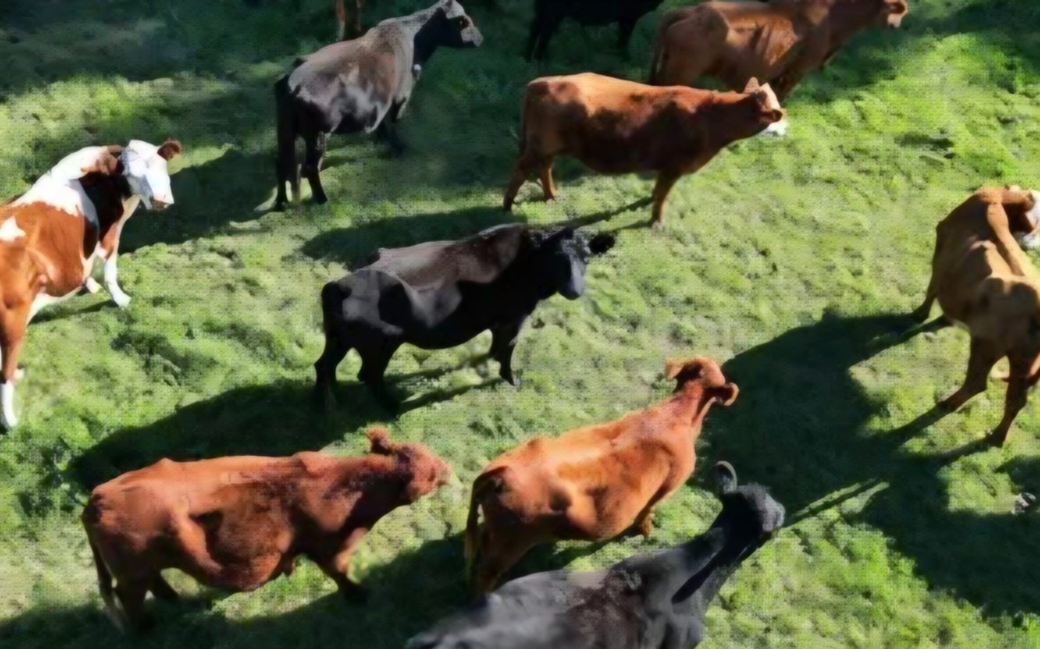 La confianza del agro sube 17% en marzo por mejores expectativas