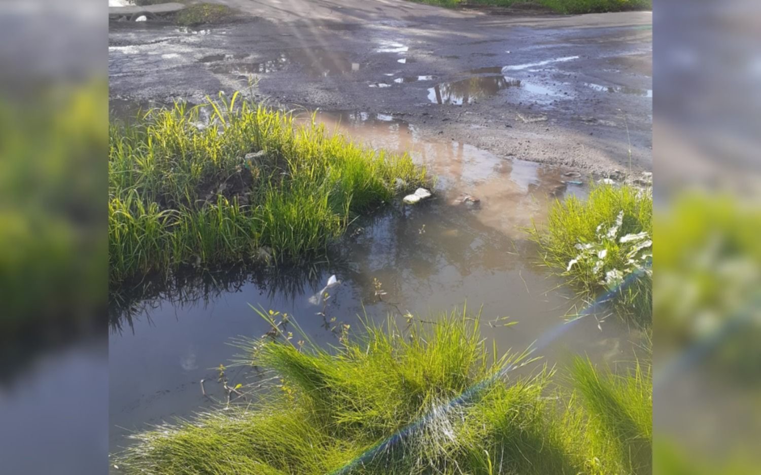 En Villa Elvira, vecinos en vilo por una zanja tapada: el agua ingresa a las casas