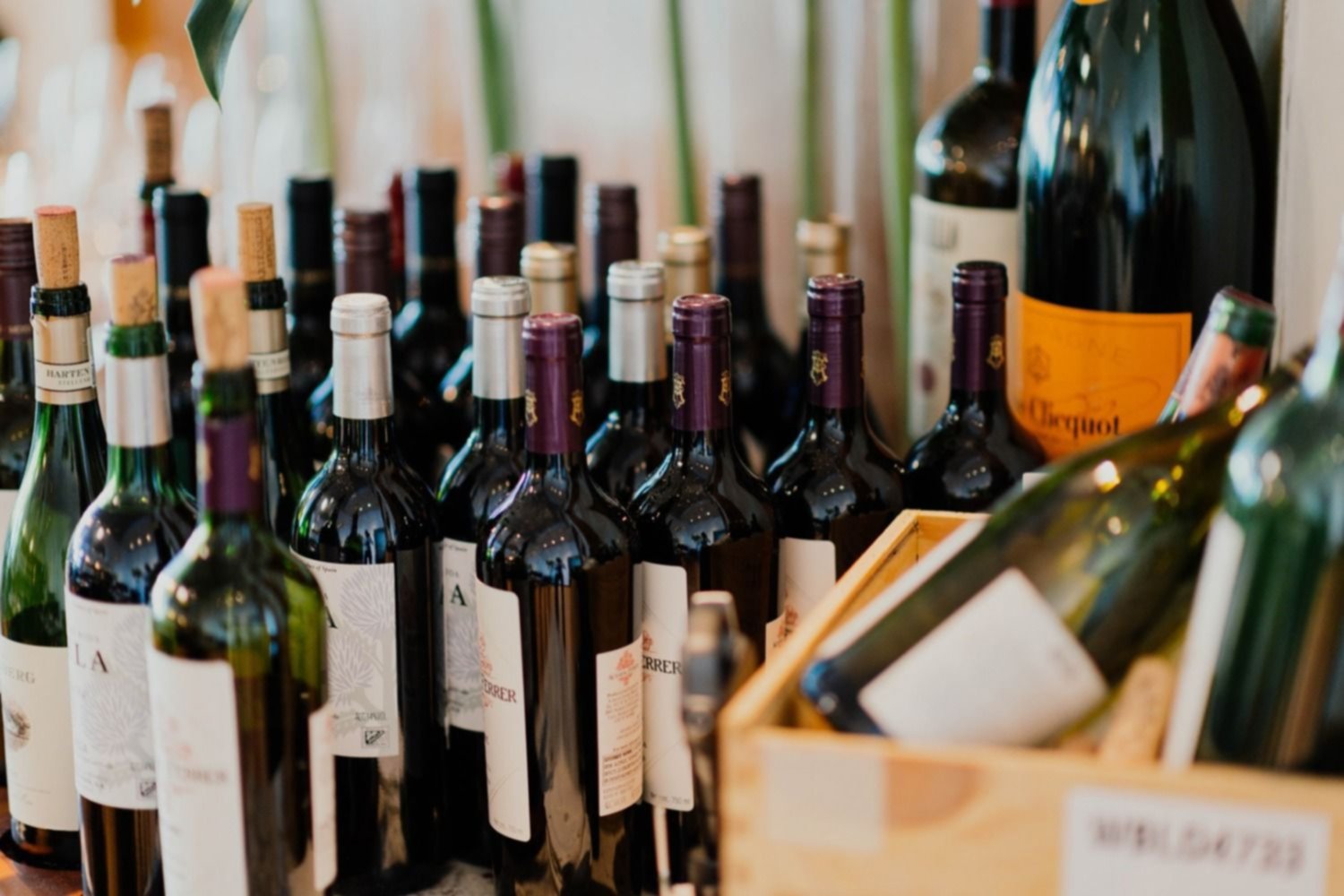 Se incrementó el mercado interno de vino en Argentina