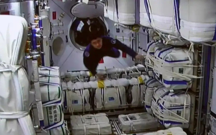 Descubrieron una bacteria desconocida en la estación espacial china: cuáles son sus características