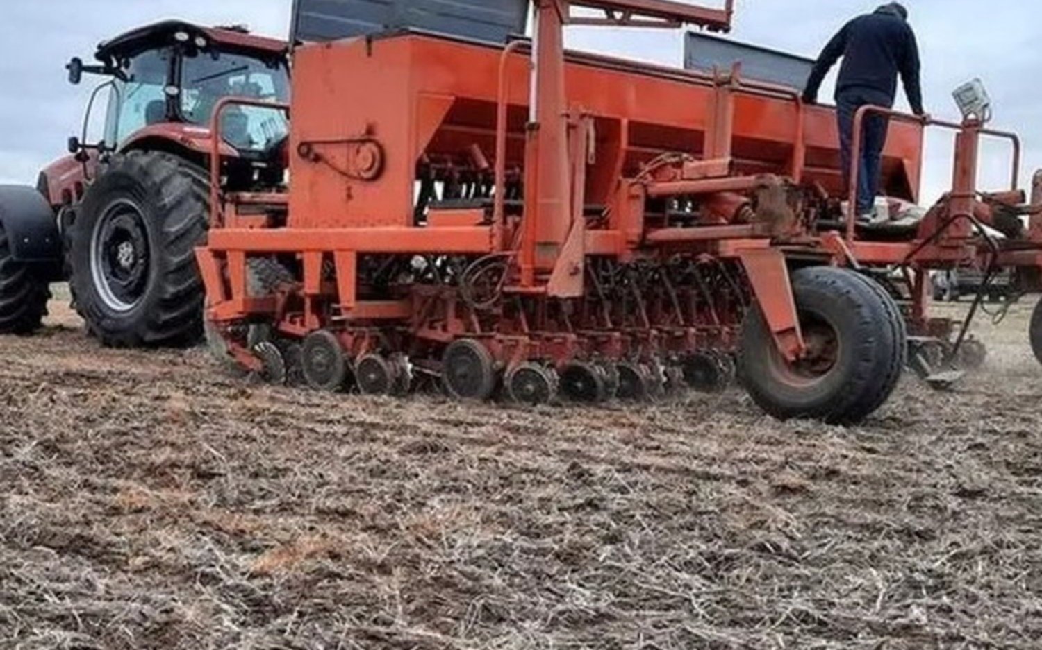 Arrancó la siembra de trigo, con demoras por lluvias y cosechas