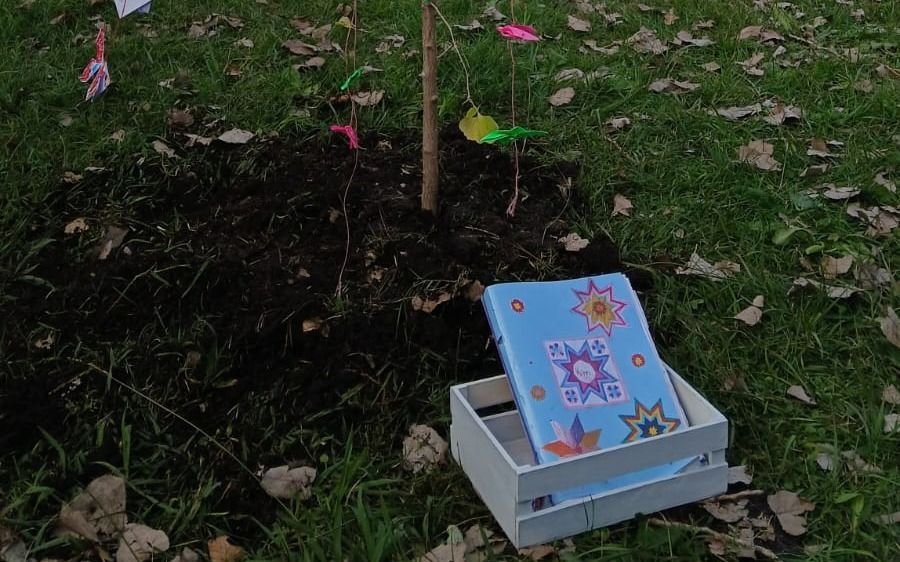 Un árbol por Kim: emotivo homenaje en el colegio al que asistía la nena de 9 años que murió durante el robo en La Plata