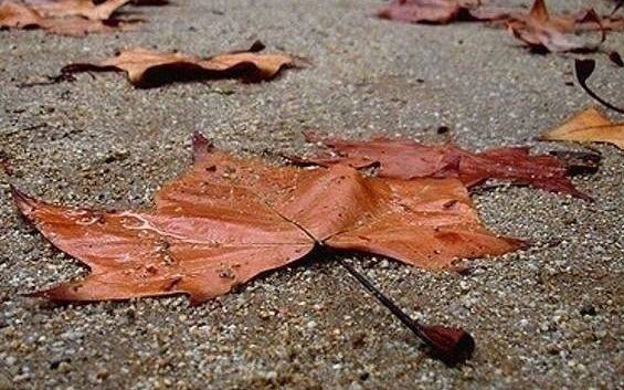 Lunes lluvioso de otoño en Quilmes 