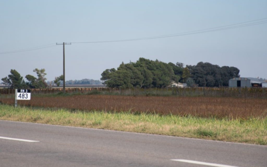 Preocupa la inseguridad en campos linderos a la ruta 3
