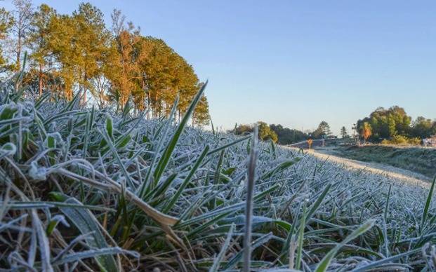 Llegó la "bomba polar" y se vienen las heladas: ¿qué factores deben combinarse para otra nevada en La Plata?