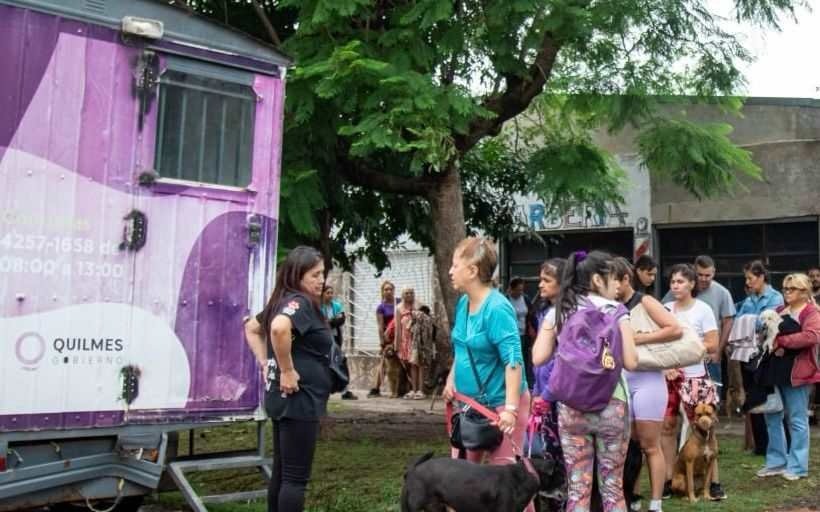 Operativos de Zoonosis en Quilmes: Calendario Completo para Junio