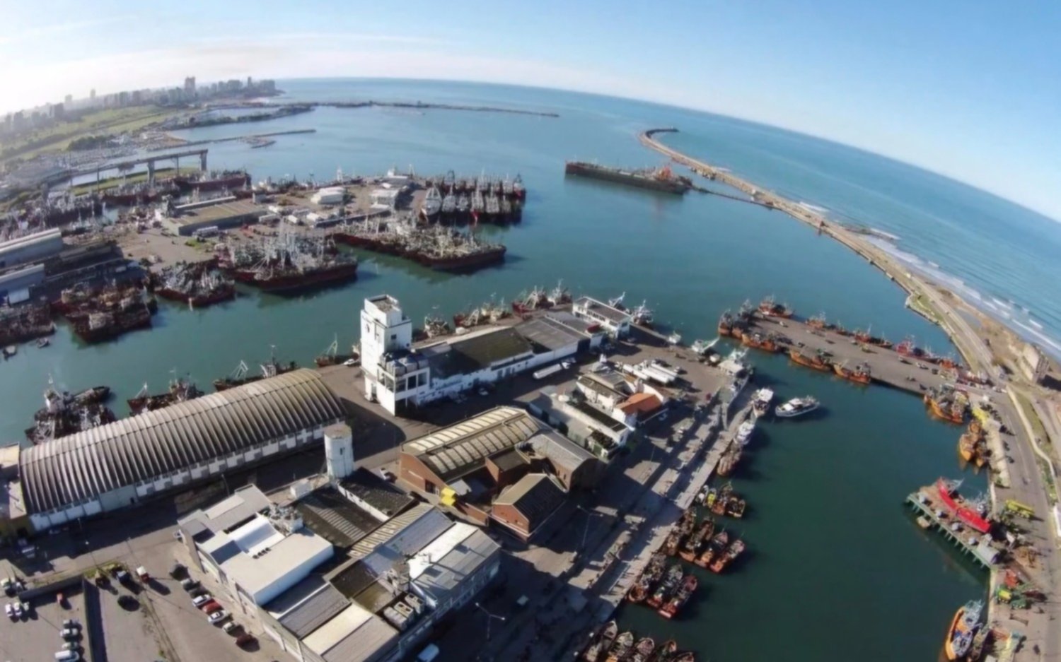 Mar del Plata: cámaras pesqueras buscan bajar sueldos a marineros